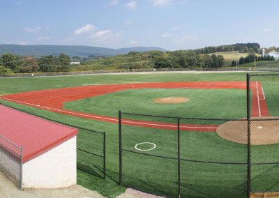 Artificial Baseball Field